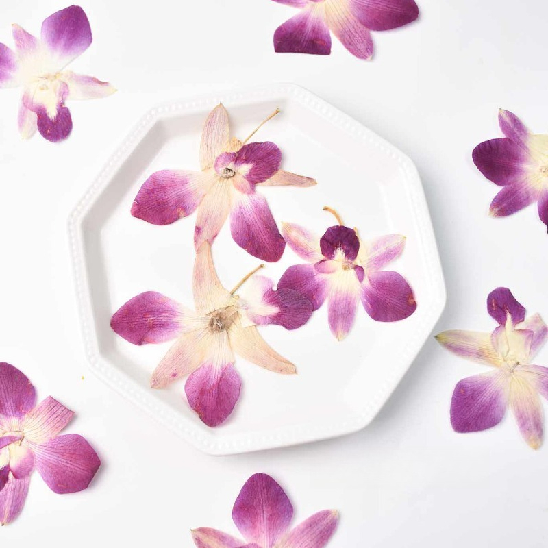 Resin Art Photo Frame - 4 Pezzi, Fiori di Orchidea Farfalla