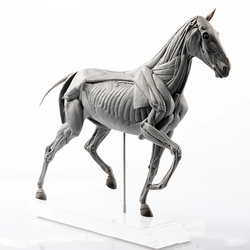 EVOLABORATORY Modello di Anato - Resin Art Decoration Items recensione e prezzo