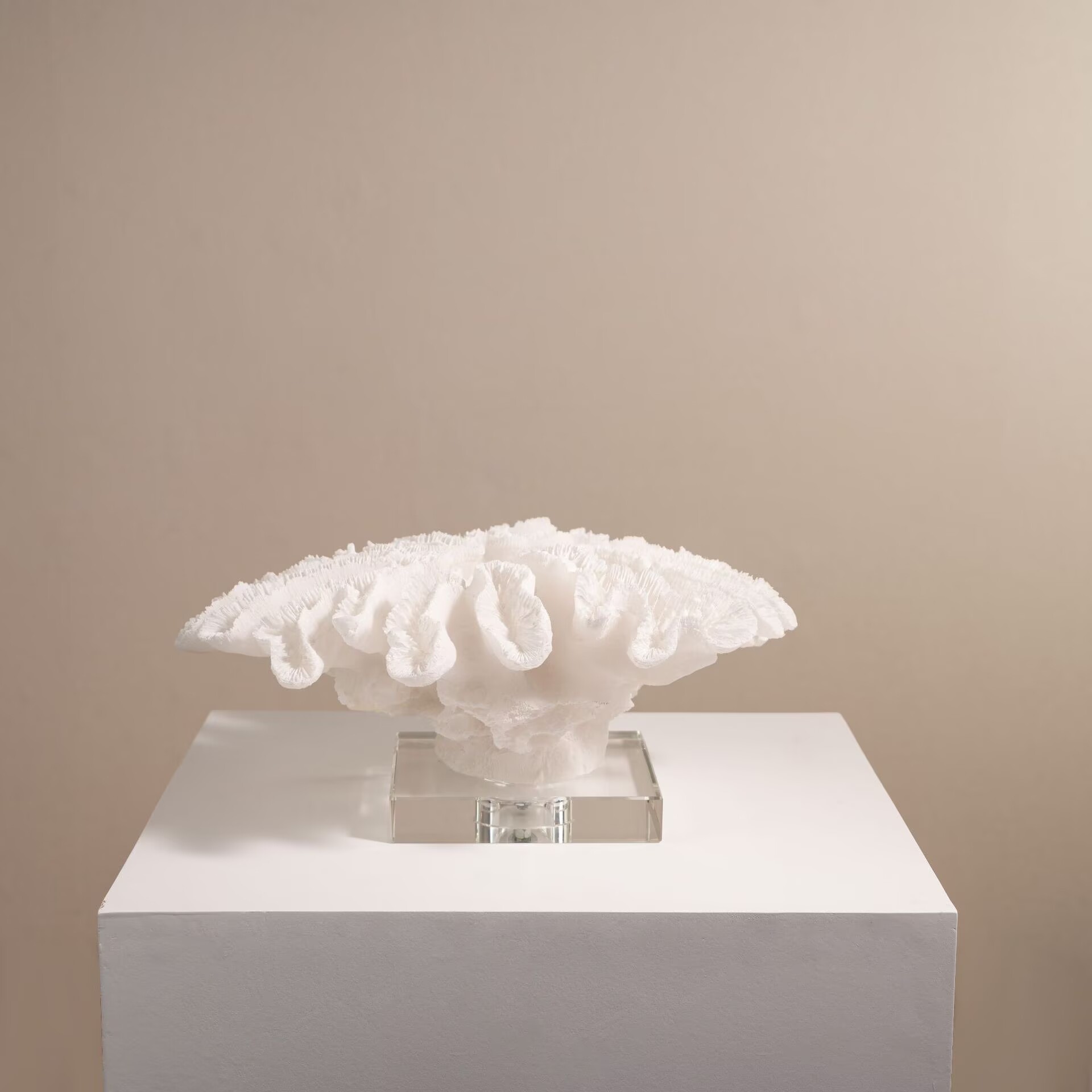 Articoli per la Decorazione de - Resin Art Decoration Items recensione e prezzo