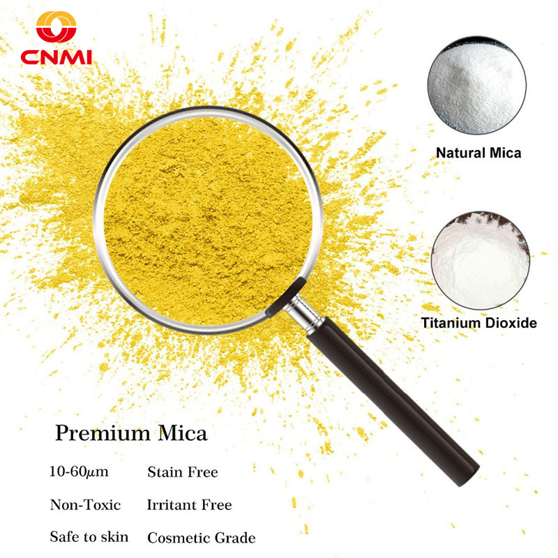 100g Royal Gold Mica Polvere P - Pearl Powder Resin recensione e prezzo