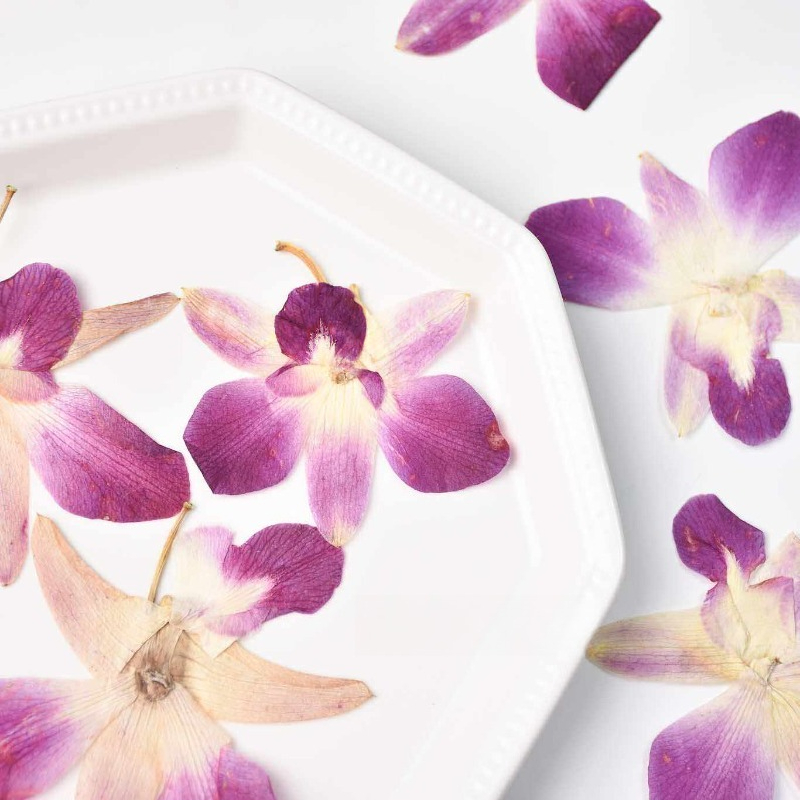 4 Pezzi, Fiori di Orchidea Far - Resin Art Photo Frame recensione e prezzo