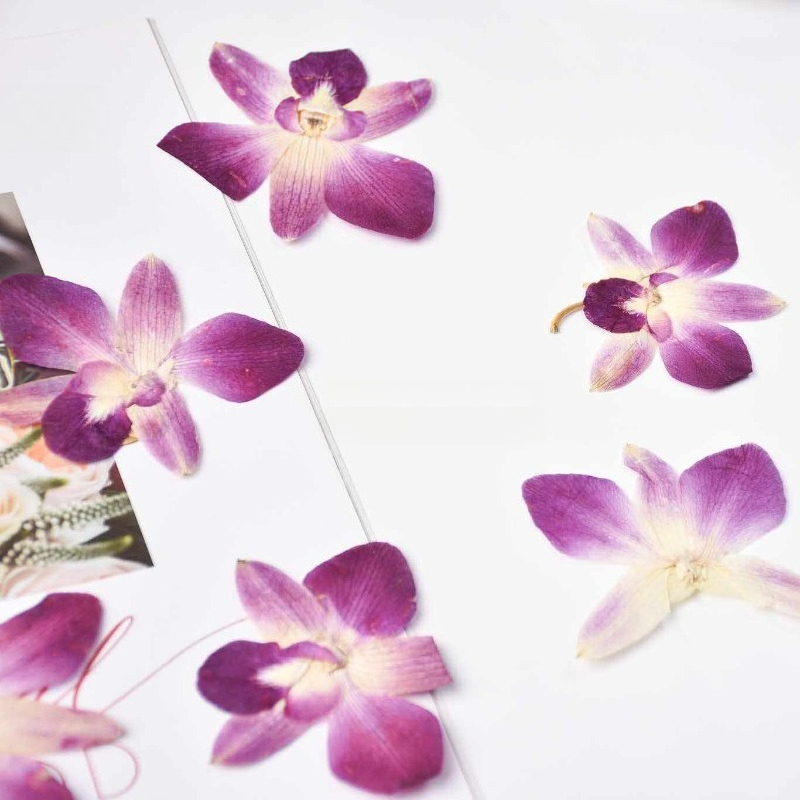 4 Pezzi, Fiori di Orchidea Far - Resin Art Photo Frame recensione e prezzo