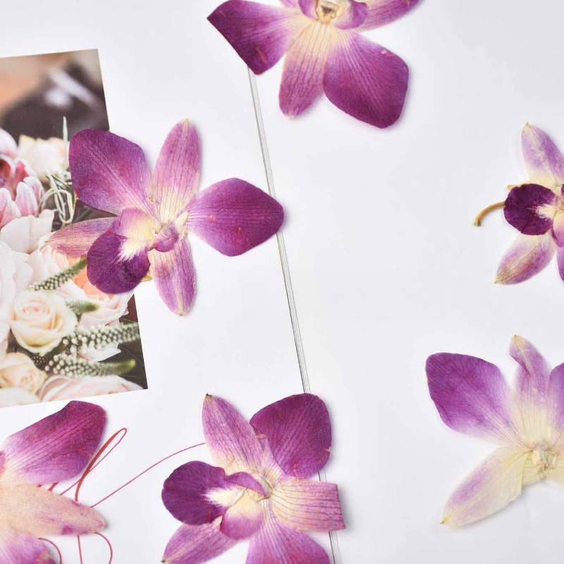 4 Pezzi, Fiori di Orchidea Far - Resin Art Photo Frame recensione e prezzo