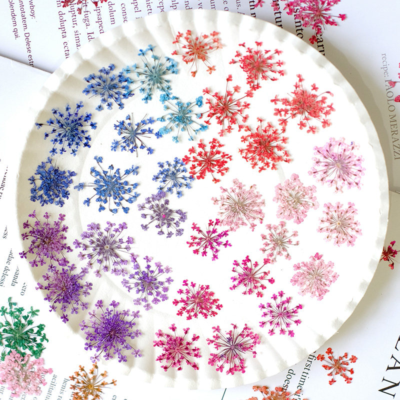 24 Pezzi, 2-2,5 cm, Petali di  - Resin Art Photo Frame recensione e prezzo